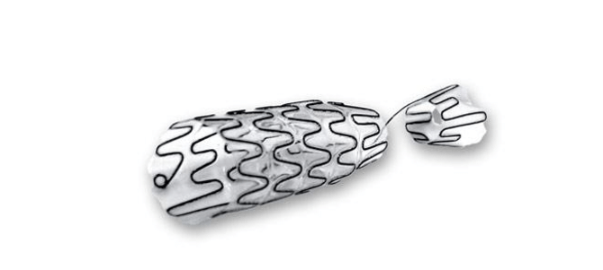 Ενδοπροθέσεις για στενώσεις του αυχένα της κύστης RPS